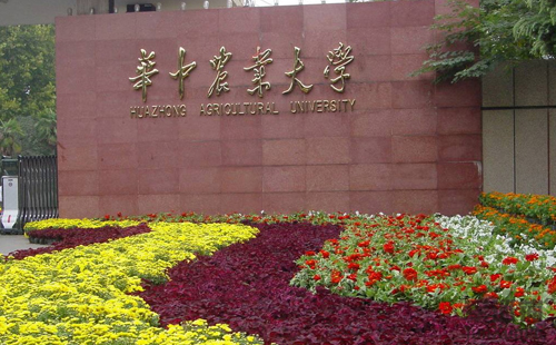 征途国际(中国游)官方网站 - 主页欢迎您 - pgzt合作客户